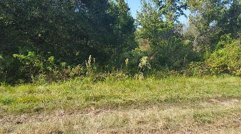 2nd image of 546 S Hayes Rd