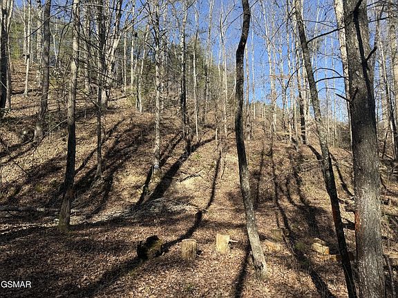 4th image of 805 Bogard Creek Rd Lot 0