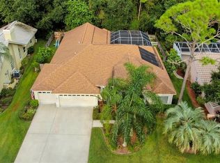 1103 Hunters Pl, Oldsmar, FL 34677