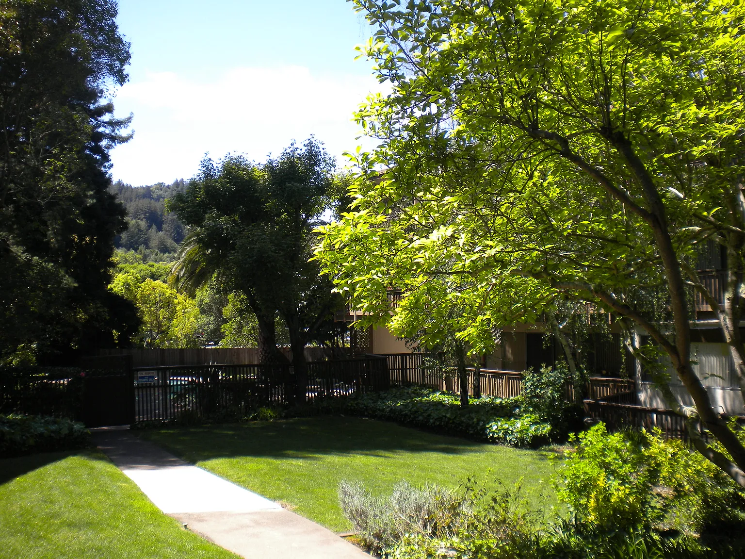 Pine Lane Residential LLC — Photo 4
