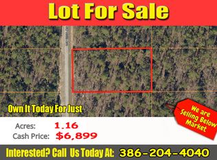 SW 135th Ave, Dunnellon, FL 34432