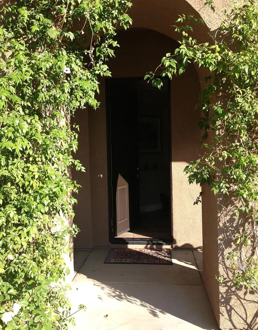 1 bed, $1,850 — Photo 2