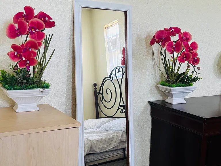 Bridle Creek Cir — Photo 3