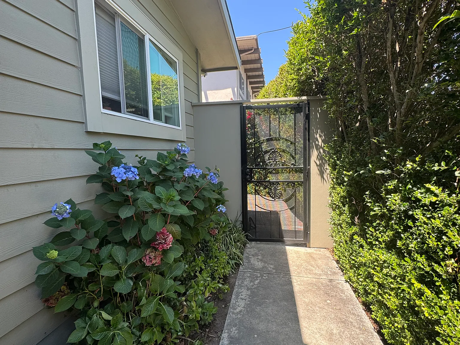 4 bed, 1365 sqft, $5,900 — Photo 2