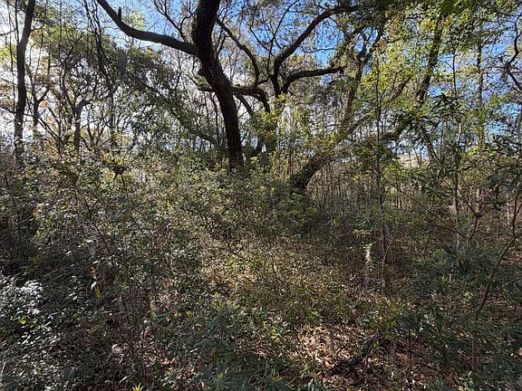 2nd image of 32 Joe Capers Rd