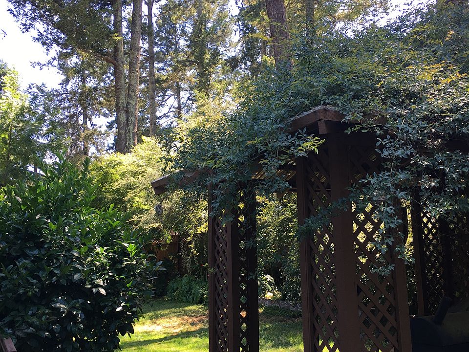Redwood Gazebo, Rose arbor
