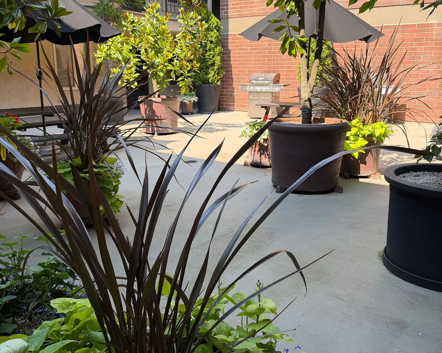 Fairmont Terrace — Photo 3