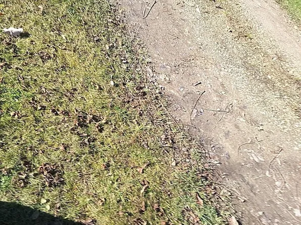 0 Kaufman Rd, Capac, MI 48014