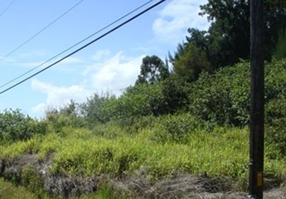 5th image of Kalopa Homesteads Lot 67-D