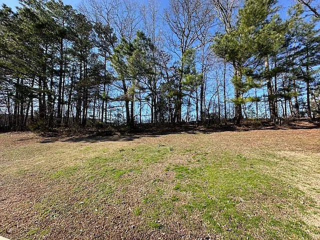 Stonehedge Dr — Photo 19