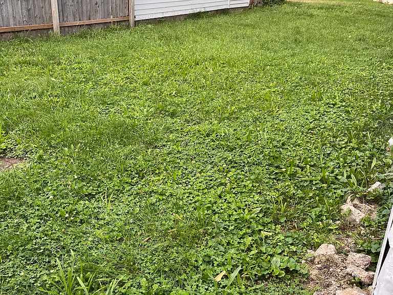 4723 Evanston Ave — Photo 13
