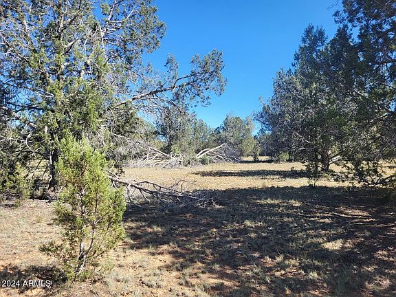 4th image of 220 Six Shooter Trail #220