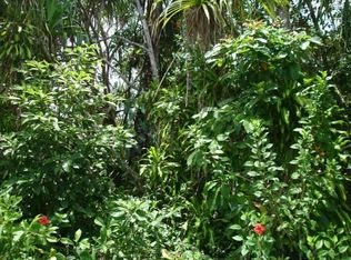 Opae St LOT 1589, Pahoa, HI 96778