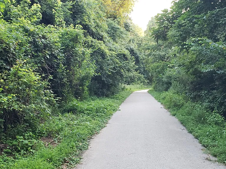 Sodalis Nature Preserve