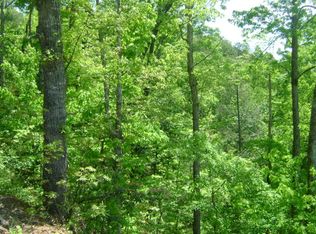 592 Bumgarner Cemetery Rd, Whittier, NC 28789