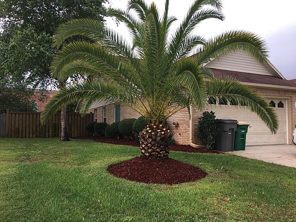 side of front yard