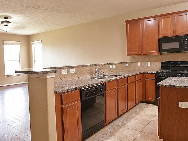12903 Flat Creek Dr — Photo 10
