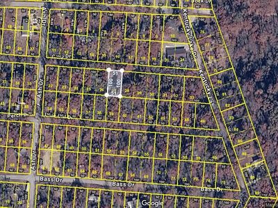 0 Carp Dr Lot 27, Buchanan, TN, 38222