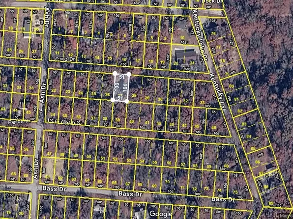 0 Carp Dr Lot 27, Buchanan, TN 38222