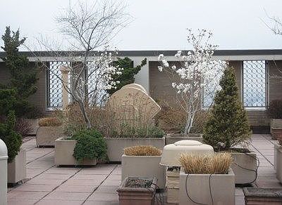 5th image of 60 E 8th St APT 8H