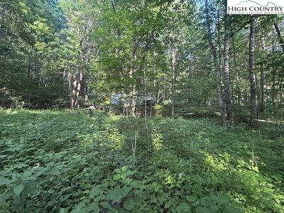 Lot 11 Billy Bob Lane, Creston, NC, 28615
