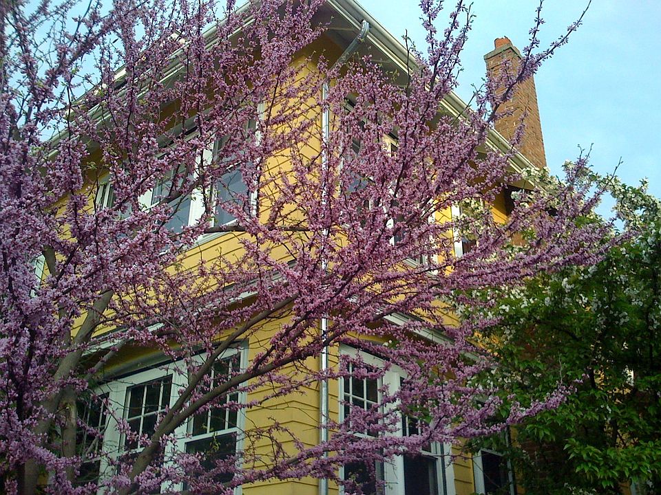 Spring color