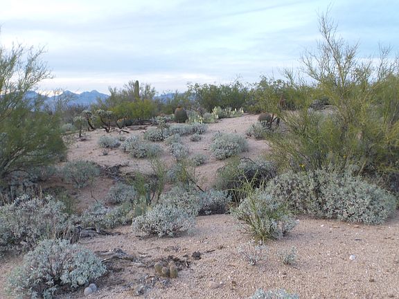 4th image of 11810 E Calle Javelina