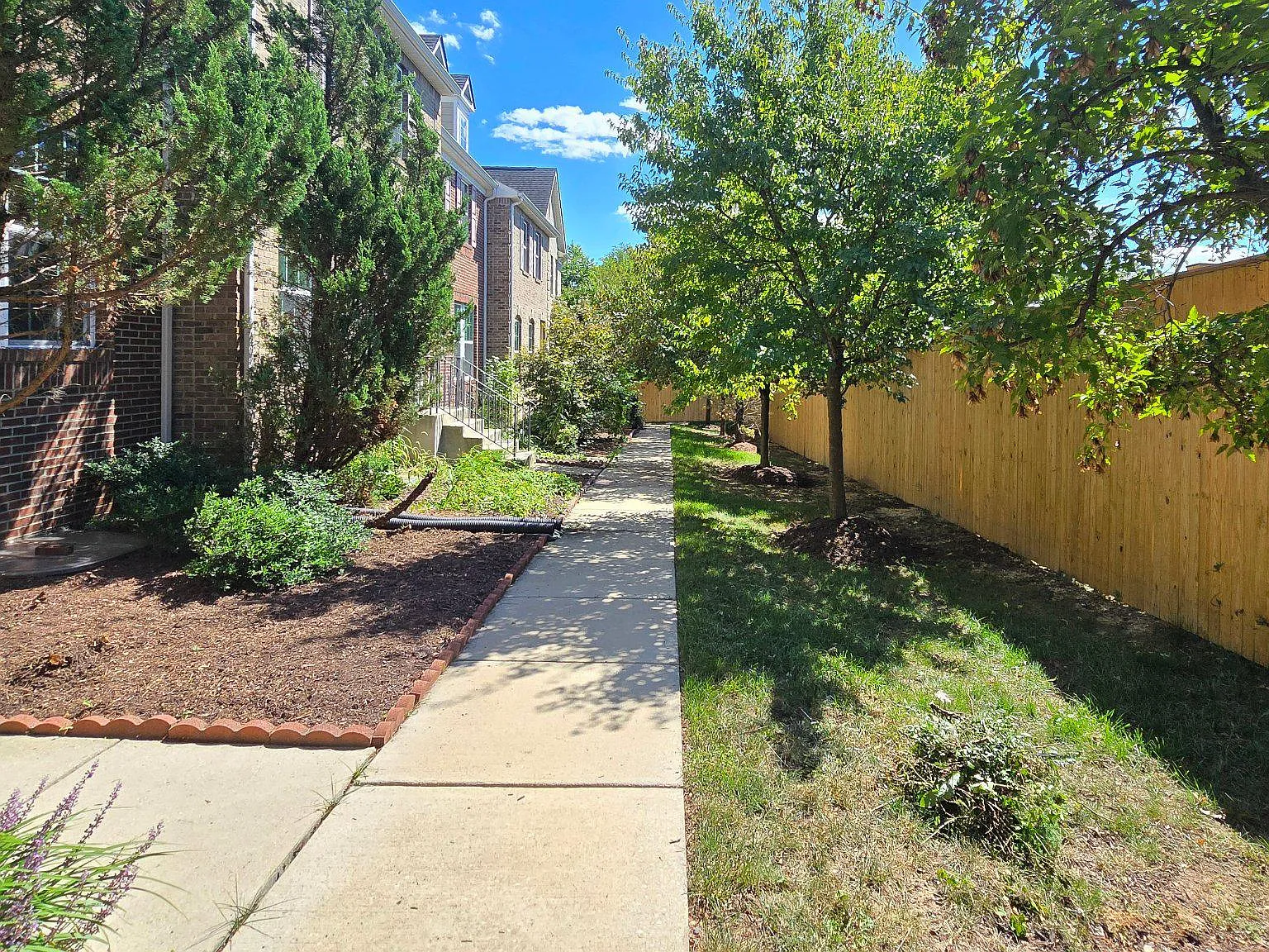 4 bed, 3.5 bath, 2160 sqft, $3,600 — Photo 3