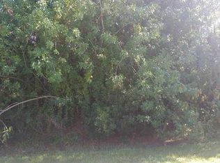 1436 Seahouse St, Sebastian, FL 32958