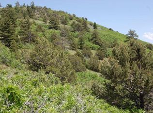 Tbd Rainbow Ridge Rd, Canon City, CO 81212