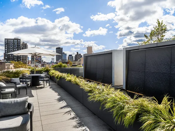 152 Elizabeth Street image 9 of 21