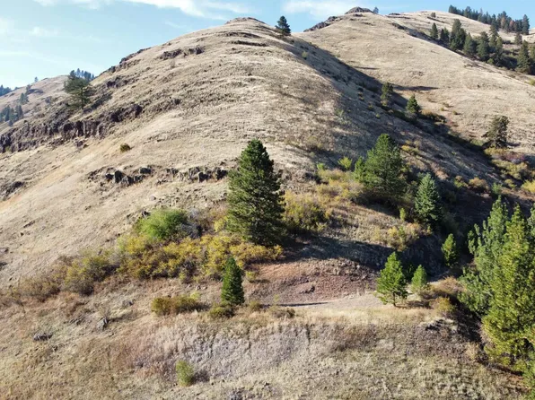 Big Canyon Rd, White Bird, ID 83554