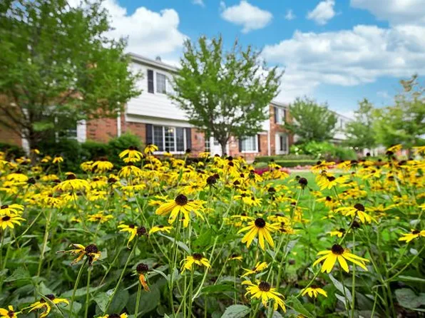 Great Oaks Apartments, 940 Oakwood Dr #Fc85d4116, Rochester, MI 48307