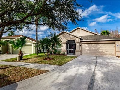 5636 Dark Star Loop, Zephyrhills, FL, 33544