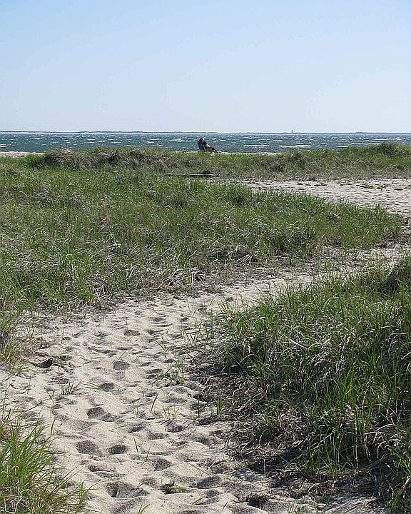 path to beach