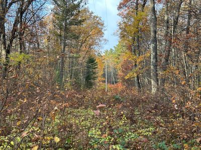 LOT On Cth F #DU, Lac Du Flambeau, WI, 54538