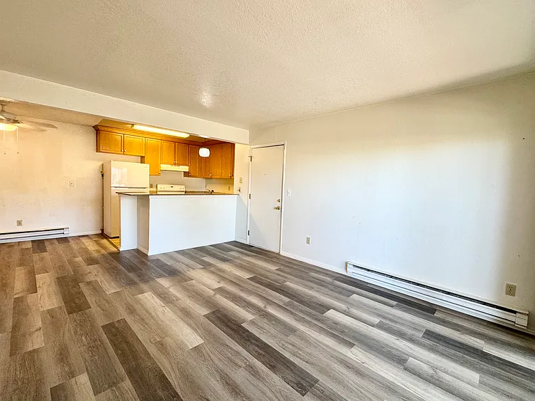 1333 N Camino Alto Rd #143 — Photo 5