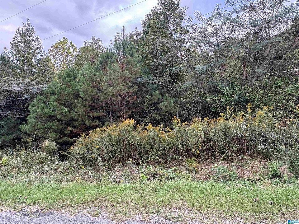 2nd image of 0 Lost Creek Cir