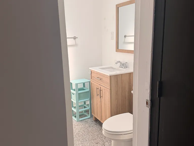 153 Oakland Ave #3B — Photo 10
