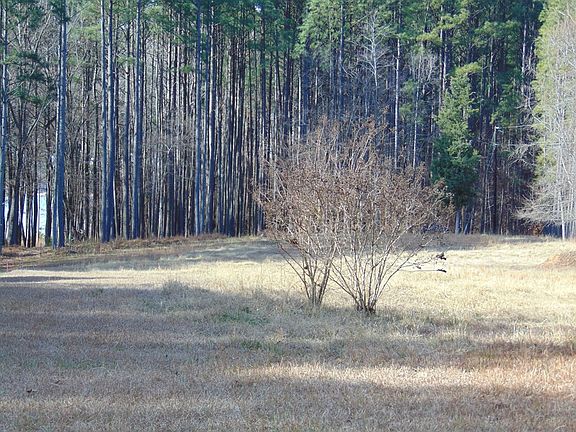 2nd image of 317 Doc Ln