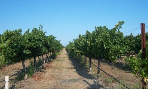 2nd image of 247 Vallecitos Rd