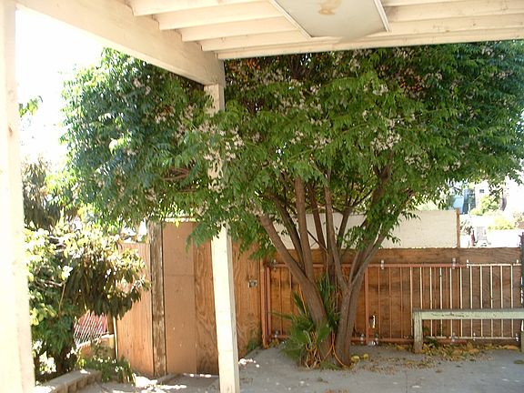 4th image of 529 S Lorena St #531