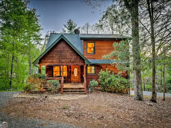 110 Little Falls Dr, Mineral Bluff, GA 30559