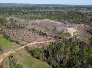 0 County Road 77, Raleigh, MS 39153