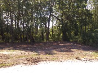 231 W Paige Wynd Dr, Angier, NC 27501