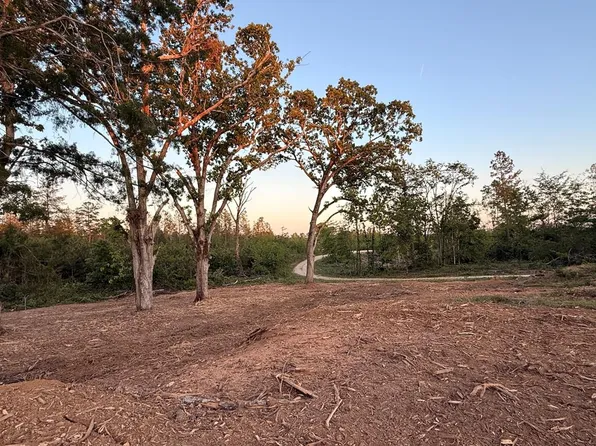 0 Haglersville Rd_parcel #1_, Mansfield, TN 38236