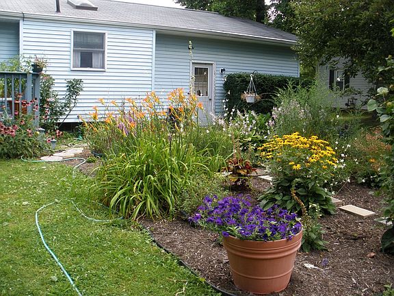 Perennial garden