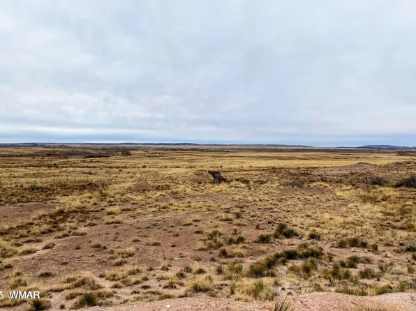 62 Carrizo Ranches, Saint Johns, AZ 85936