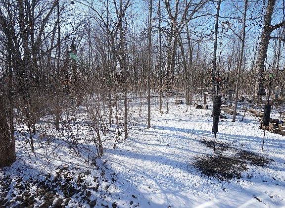 2nd image of 4753 Logsdons Meadow Dr