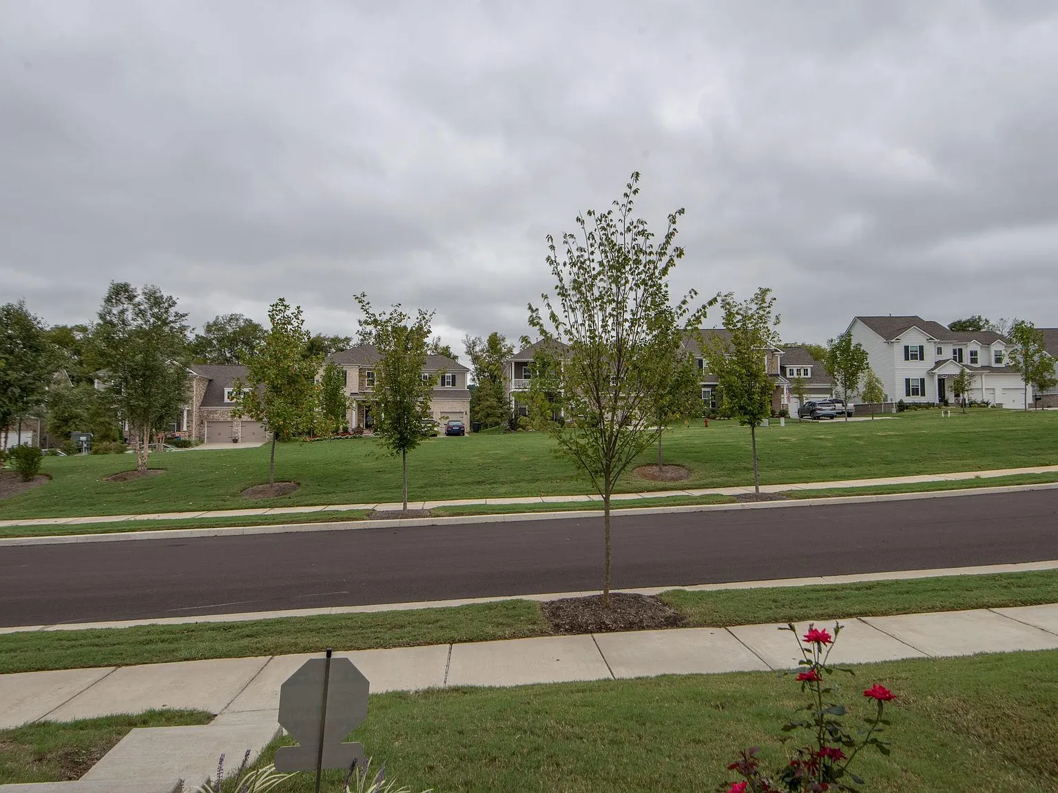 1943 Griffin Dr — Photo 2